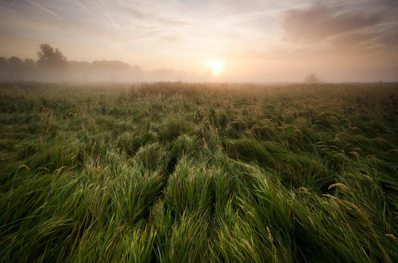 Vroege stiltewandeling door de Broekpolder